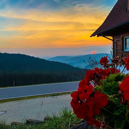 Pension Forsthaus Taele - Das Gaestehaus Vom Schwarzwaldgasthaus Salenhof Titisee-Neustadt Buitenkant foto