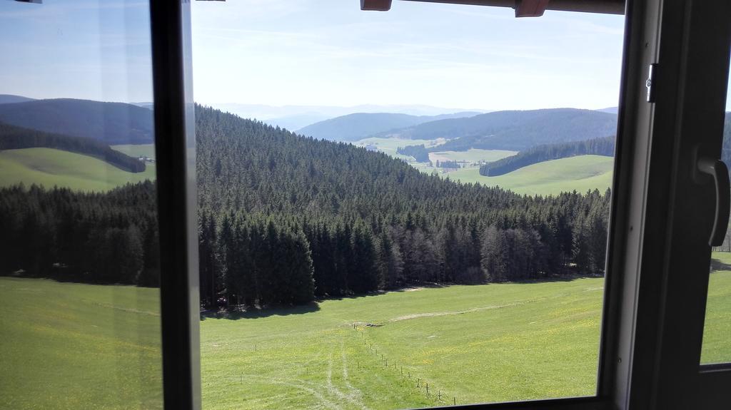 Pension Forsthaus Taele - Das Gaestehaus Vom Schwarzwaldgasthaus Salenhof Titisee-Neustadt Buitenkant foto