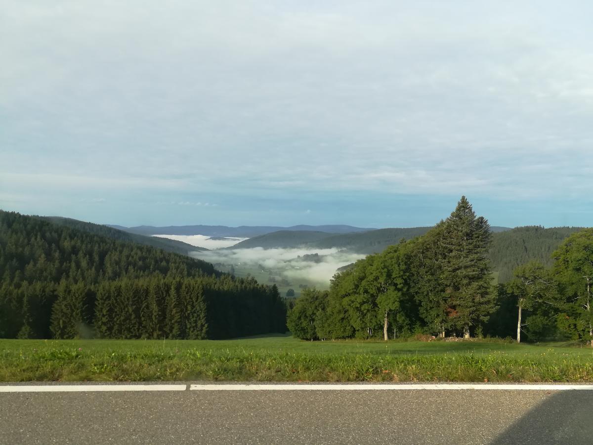 Pension Forsthaus Taele - Das Gaestehaus Vom Schwarzwaldgasthaus Salenhof Titisee-Neustadt Buitenkant foto