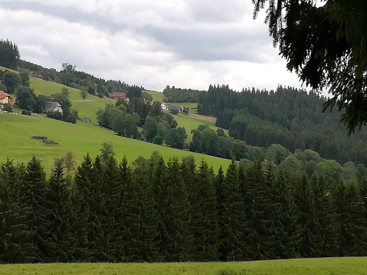 Pension Forsthaus Taele - Das Gaestehaus Vom Schwarzwaldgasthaus Salenhof Titisee-Neustadt Buitenkant foto